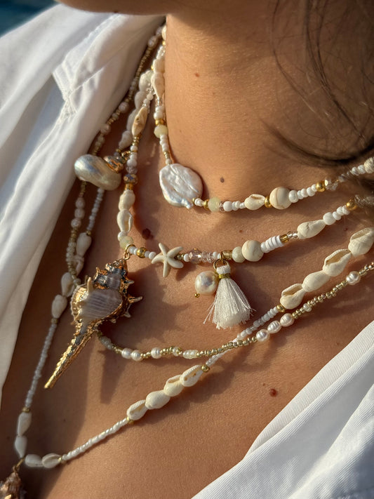 🐚 Les coquillages : trésors marins, symboles anciens et porte-bonheurs mystiques