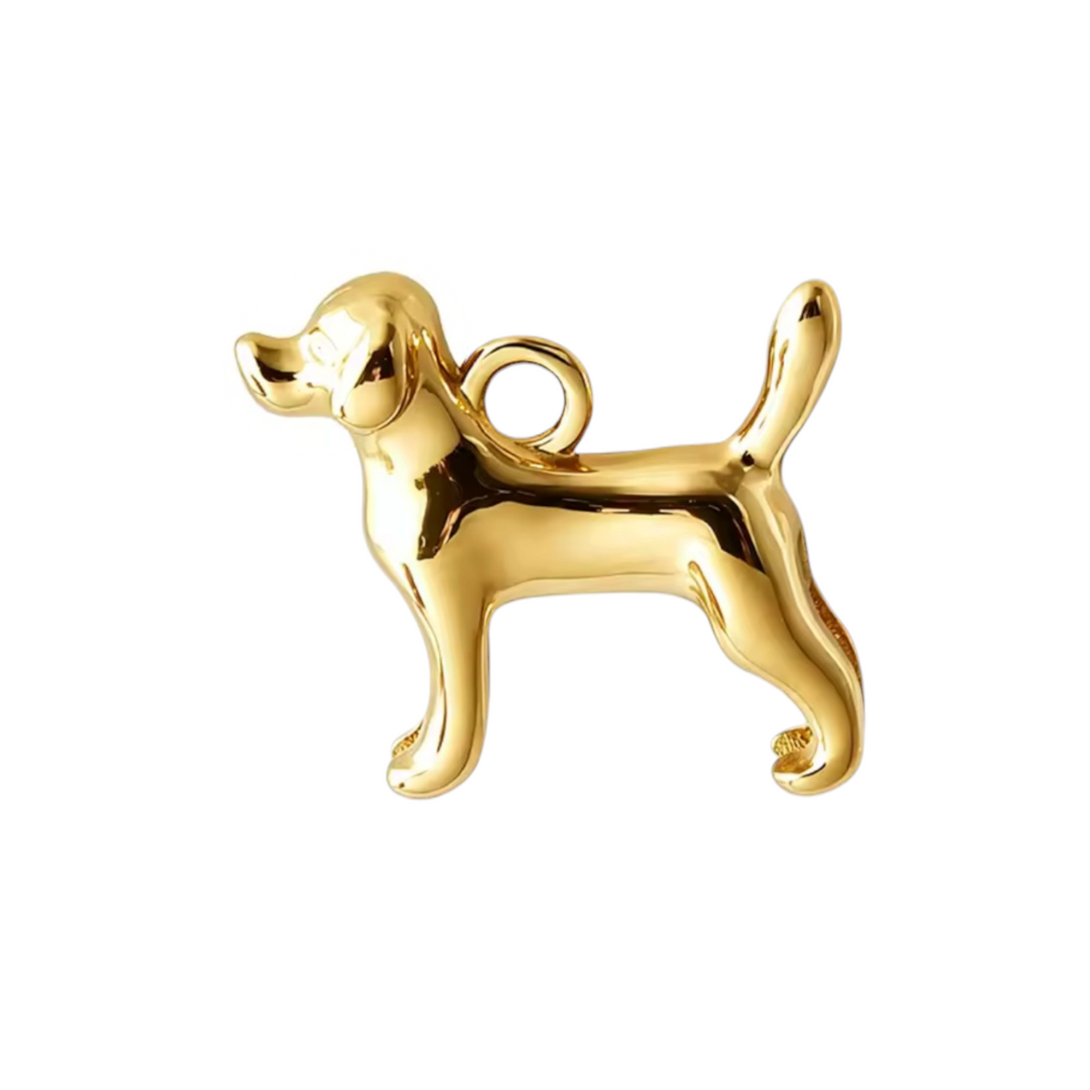 GOLD CHARMS